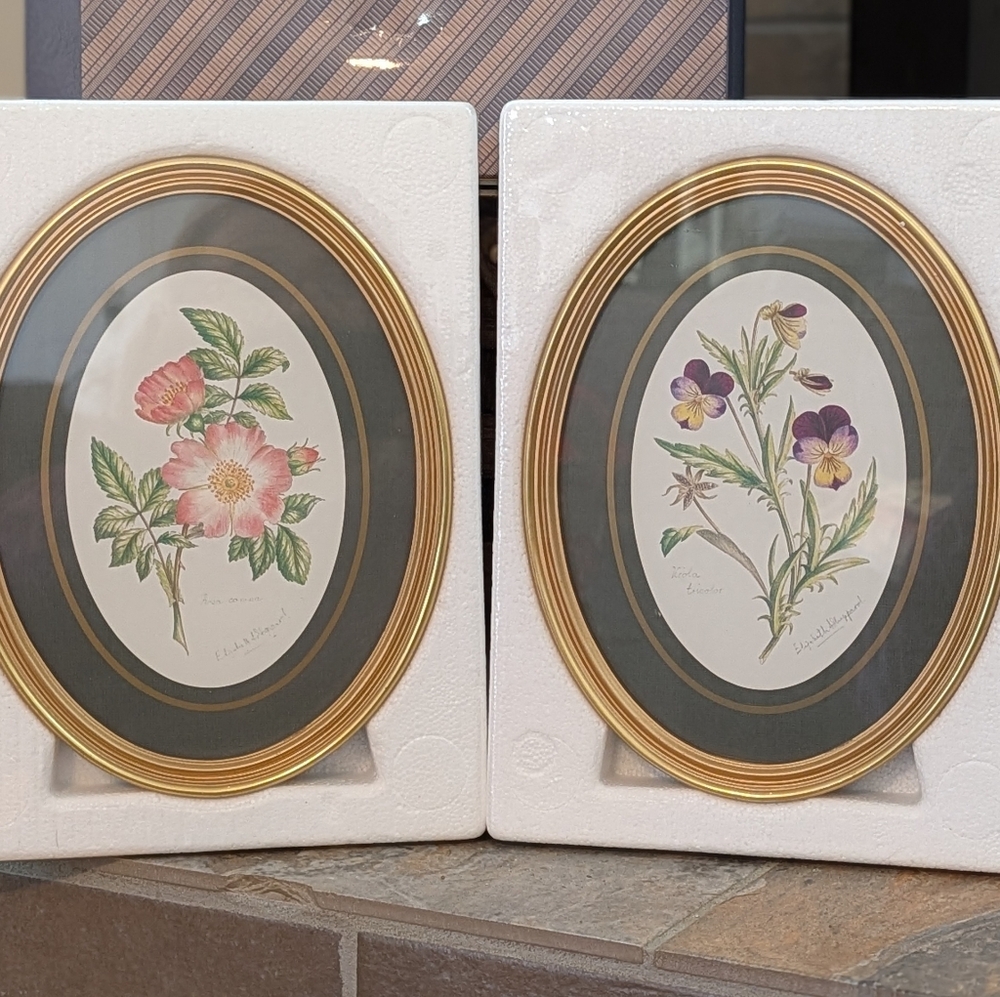 English Botanical Prints Vintage Avon Gold Frame Art Wall